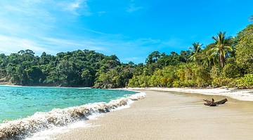 A white sand beach surrounded by tropical trees, overlooking blue water