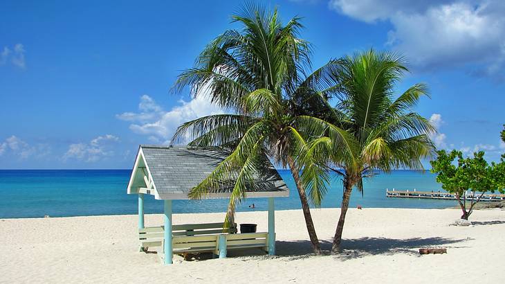 A beach with white sands, turquoise waters with a wooden beach hut beside palm trees