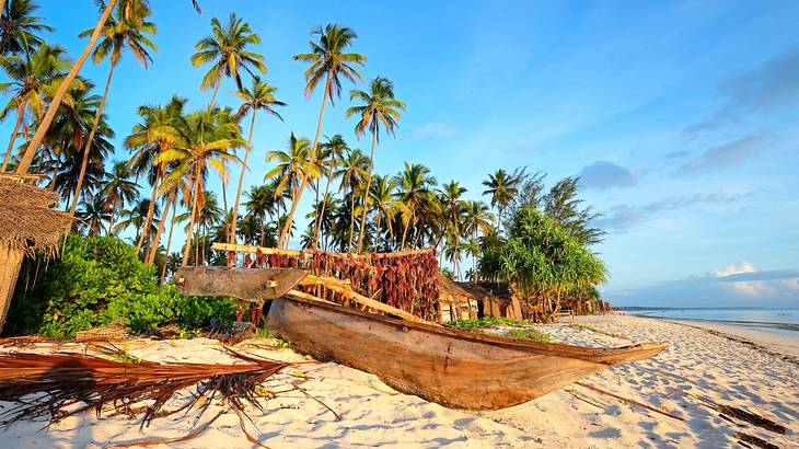 A tropical beach with a boat on the sand against green palm trees under the sky