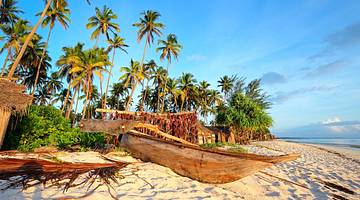 A tropical beach with a boat on the sand against green palm trees under the sky