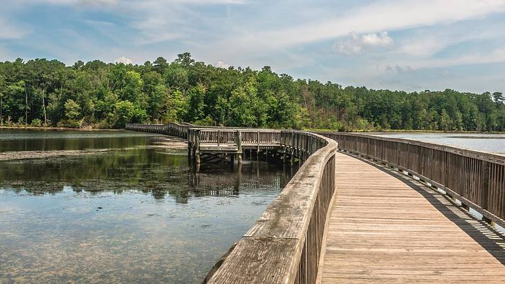 A wooden bridge over a lake with green trees next to it A wooden bridge over a lake with green trees next to it