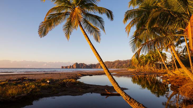 10 Days in Costa Rica Itinerary - Coast Rica, Coastline