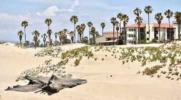 A sandy beach with a piece of driftwood next to beach houses and palm trees
