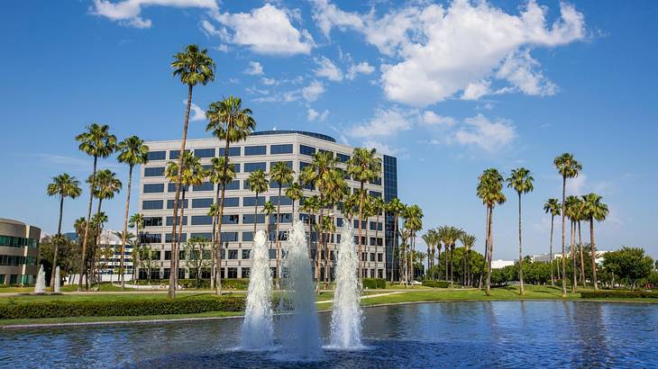 A fountain in a pool next to green grass, palm trees, and a building