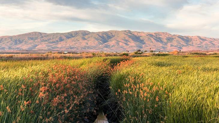 Going to Mount Diablo is one of the fun things to do in Stockton, CA