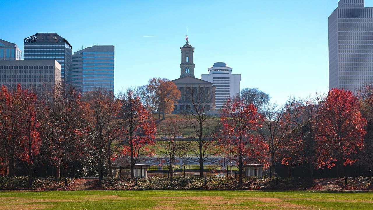 Red fall trees in a park with city buildings and a stone building with a tower behind