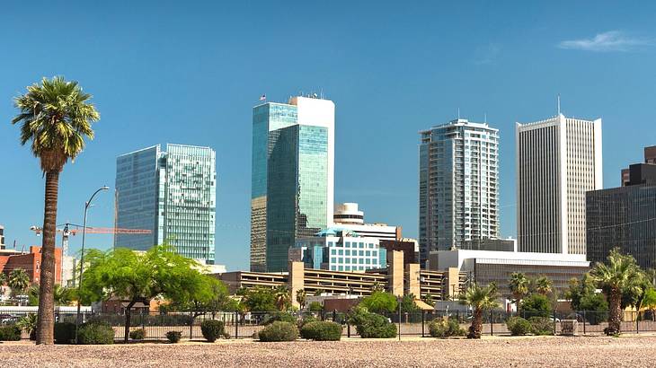 Mirrored city buildings with a palm tree and green shrubs in front of them Mirrored city buildings with a palm tree and green shrubs in front of them