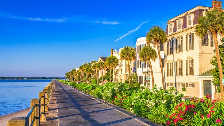 There are numerous romantic things to do in Charleston, SC, for couples