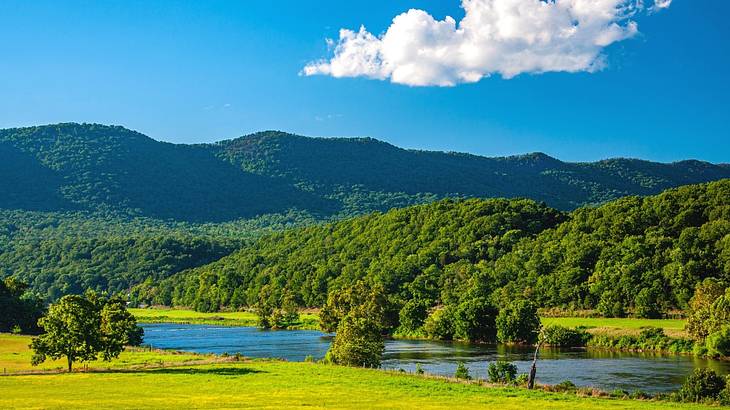 A green valley with a lake, grass, trees, and greenery-covered mountains