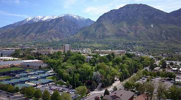 Greenery-covered mountains with trees and a town in front of them