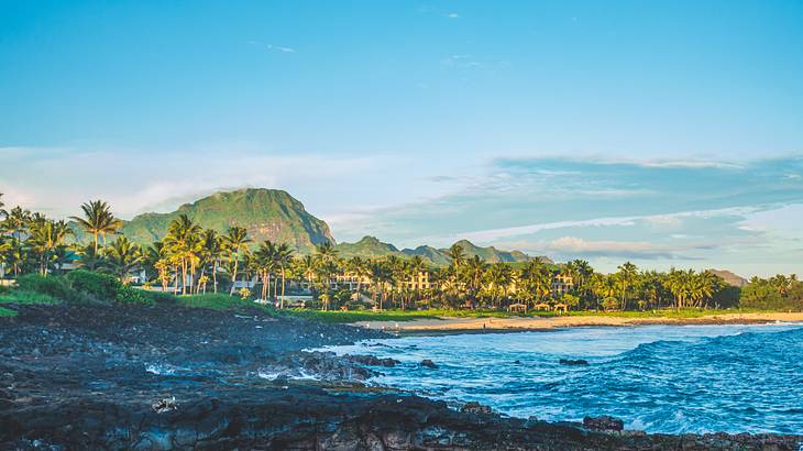 A beach with black rocks on the shore, turquoise ocean, and greenery A beach with black rocks on the shore, turquoise ocean, and greenery