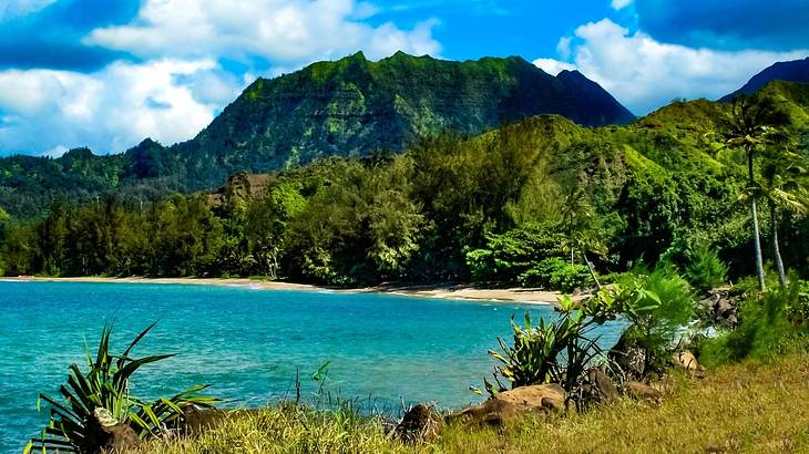 Turquoise sea water with a beach, greenery, and greenery-covered mountain surrounding