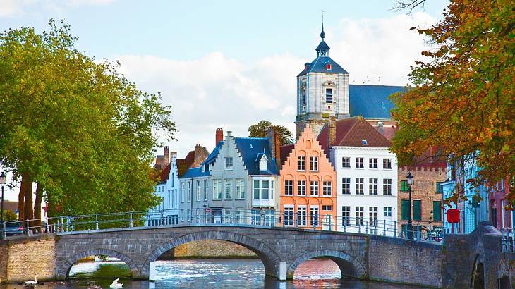 Colourful houses behind a stone bridge with water and green trees on either side