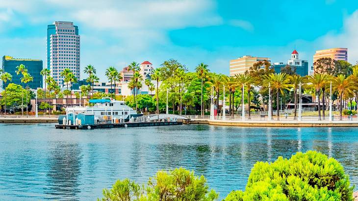 Blue ocean water with greenery in the foreground and buildings on the shore Blue ocean water with greenery in the foreground and buildings on the shore