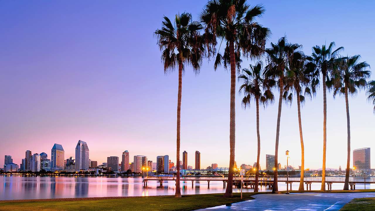 A body of water with palm trees and a city in the background