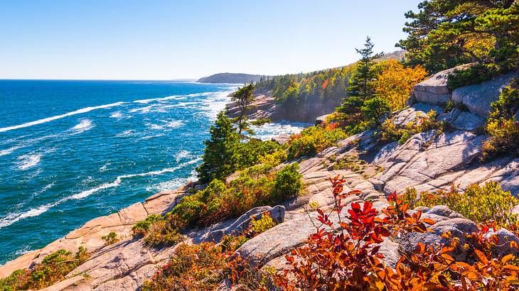 A rocky cliff with trees and bushes hugging the coastline A rocky cliff with trees and bushes hugging the coastline