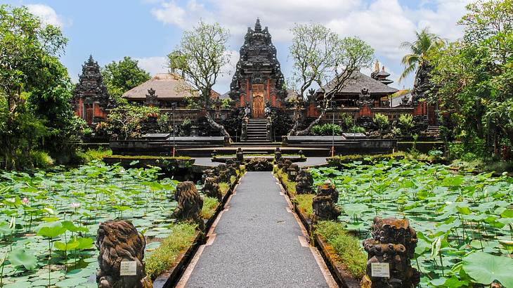 A temple structure next to trees and a path between ponds with lily pads