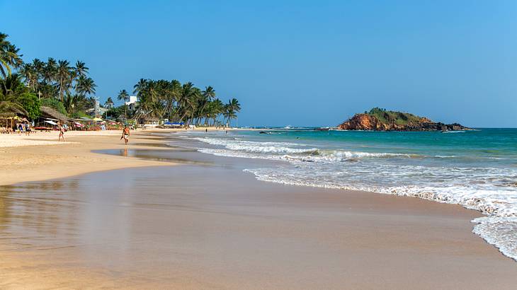 Best things to do in Mirissa Sri, Lanka - Mirissa Beach, Matara District, Sri Lanka