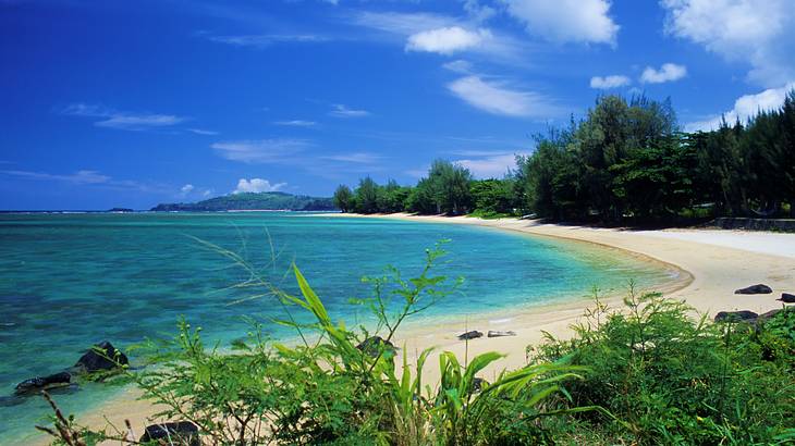 A beach with white sand and turquoise water surrounded by greenery