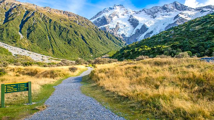 Snow-capped mountains at the back with a gravel path and grassy field in front