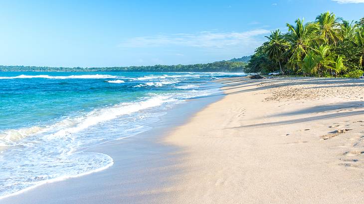 Sandy coastline with trees and green mountains under a blue sky with white clouds