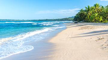 Sandy coastline with trees and green mountains under a blue sky with white clouds