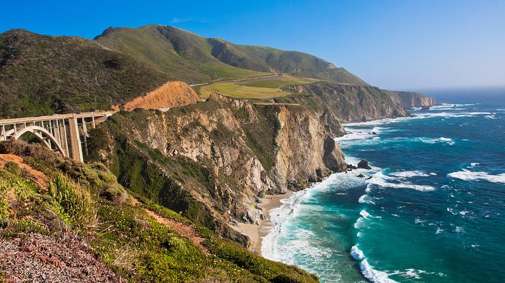 50 Interesting Fun Facts About California State Updated In 2023 