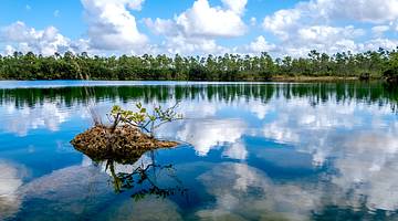 A lake with a rock reflecting the sunny sky and greenery in the distance A lake with a rock reflecting the sunny sky and greenery in the distance