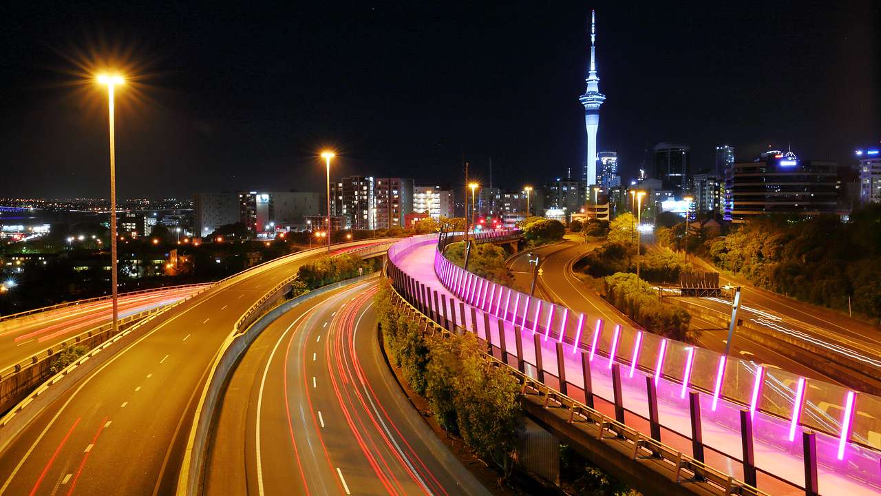 There are a lot of fun things to do in Auckland at night