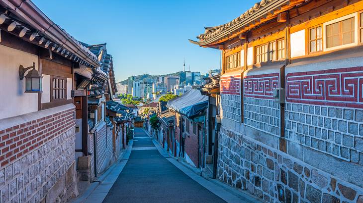 A path with homes on both sides leading down towards a city at the back