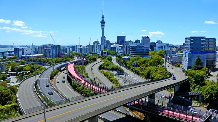 Free things to do in Auckland - Auckland, Cityscape, New Zealand