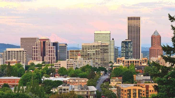 A skyline with tall buildings and greenery in front and a mountain in the distance