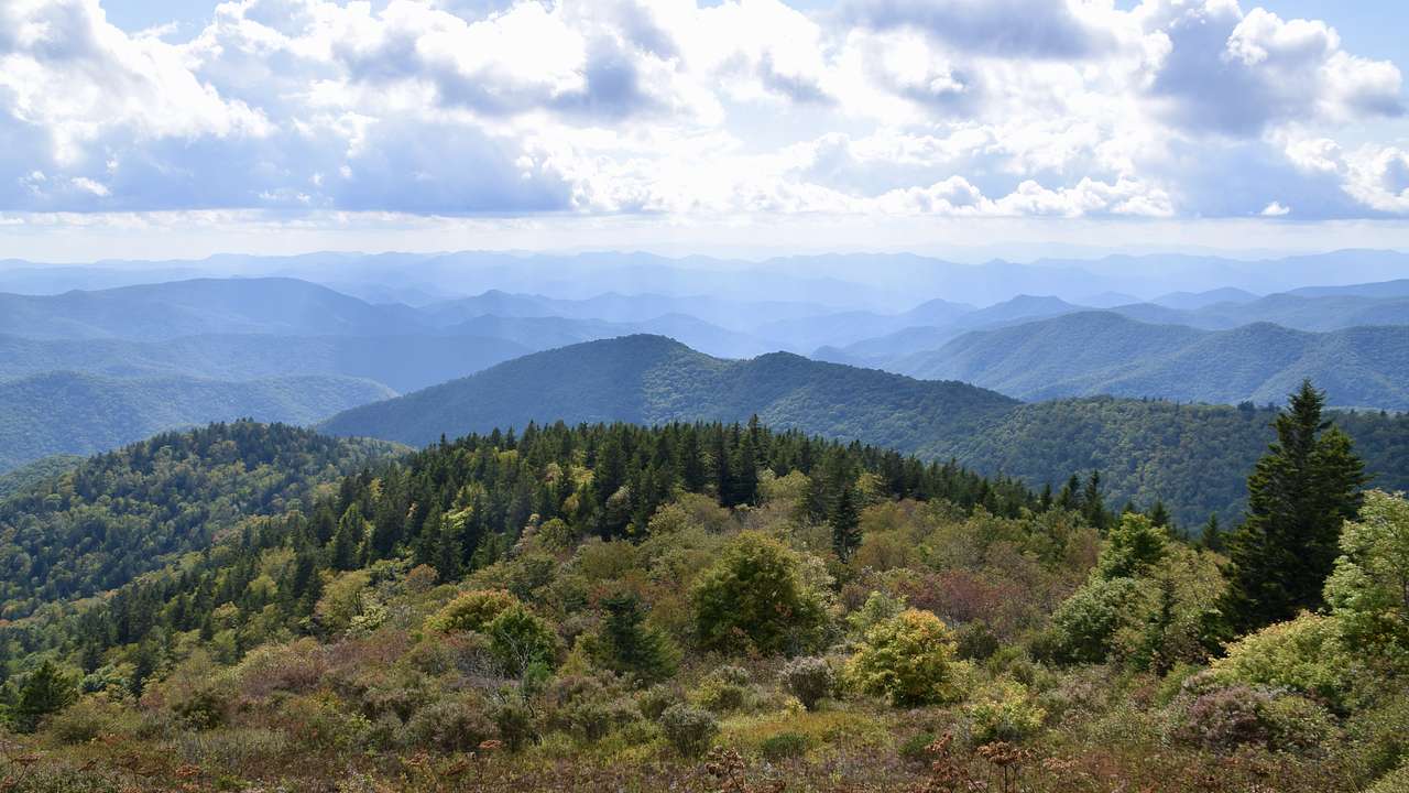 Panoramic view of mountains, trees, and cloudy skies