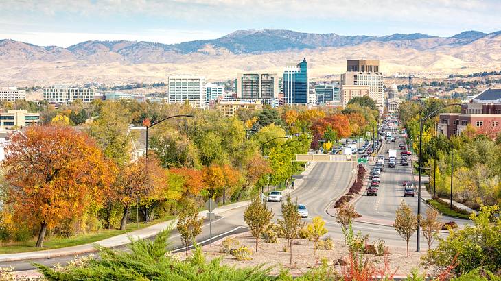 A road lined with fall trees leading to a city next to mountains