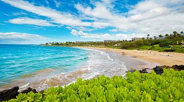 A beautiful sandy beach with lapping blue waves from behind green bushes