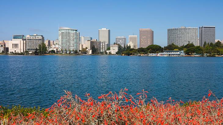 A city skyline, a large body of water, and a bush of red flowers