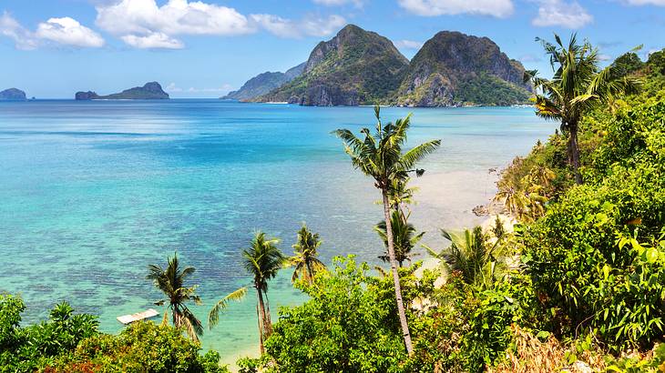 A view of clear blue water, green palm trees, and mountainous islands