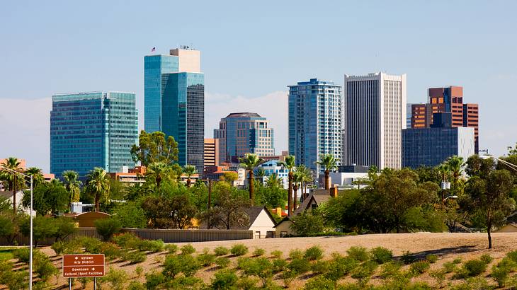 Looking at trees & vegetation against a city skyline under a light-blue sky