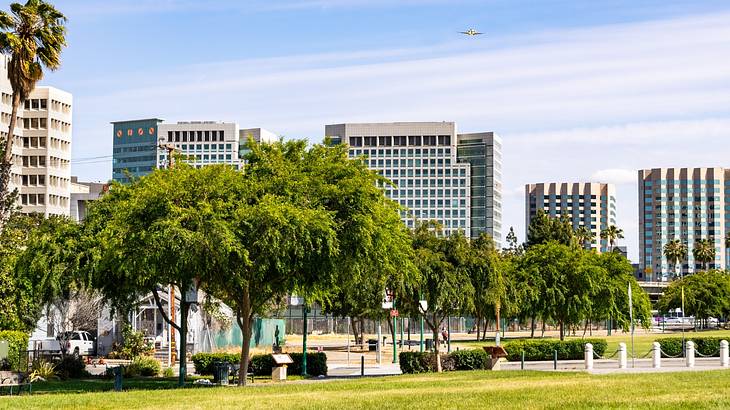 Green grass and trees next to city buildings under a blue sky