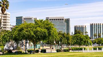 Green grass and trees next to city buildings under a blue sky