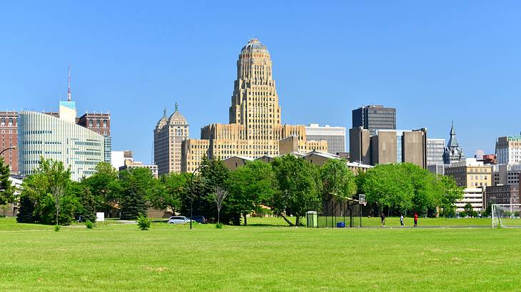 Green grass and trees next to a city skyline under a clear blue sky