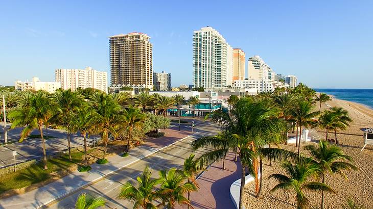 Tall buildings and roads near a sandy shore and palm trees