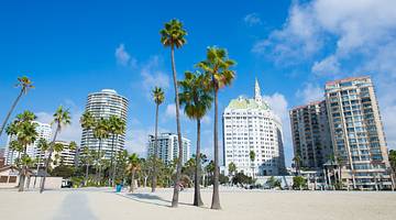Palm trees on the beach with buildings in the background