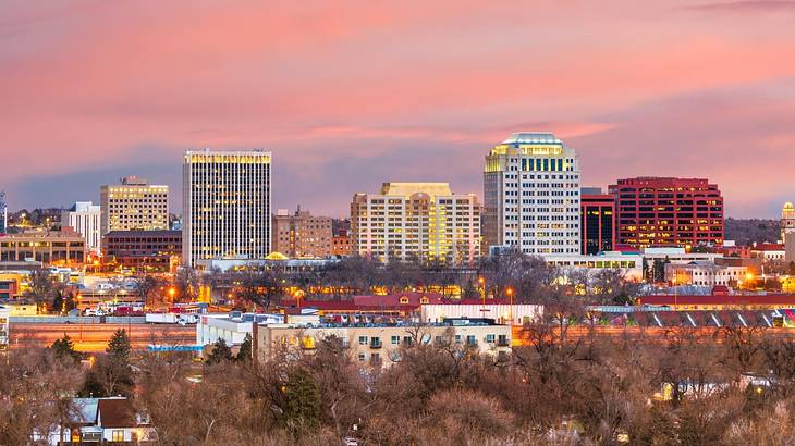 A city skyline with concrete buildings and bare trees in front with a pink sky