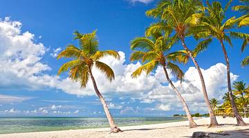A sandy beach with palm trees and blue ocean under a blue sky with clouds