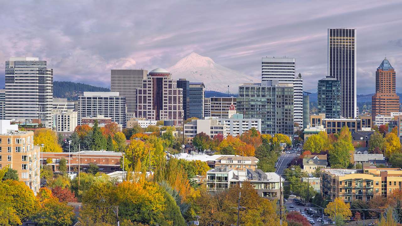 A city skyline with tall buildings, a mountain at the back, and fall foilage in front