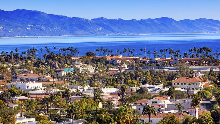 Many houses interspersed with palm trees with a view of the ocean and mountains