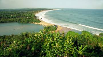 Aerial view of a green lush coastline