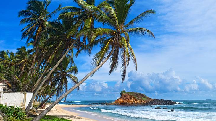 A beach with palm trees, waves coming to shore, and a small rocky island nearby