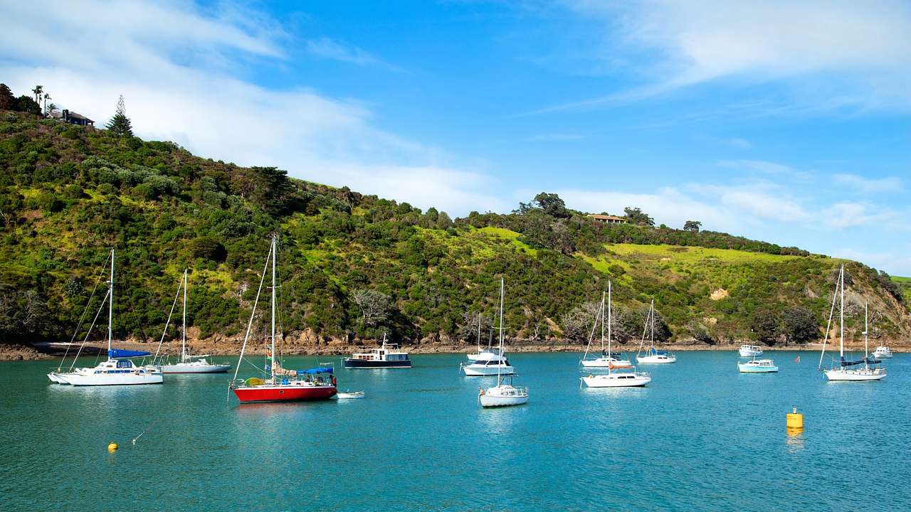 Sailboats on turquoise water next to a greenery-covered hill